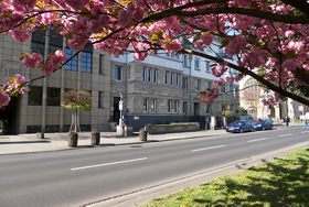 Ansicht der Geschäftsstelle des isp in Koblenz am Friedrich-Ebert-Ring unter einer blühenden Zierkirsche aufgenommen.
