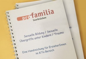 Textunterlagen zum Thema in DINA4 mit Spiralbindung